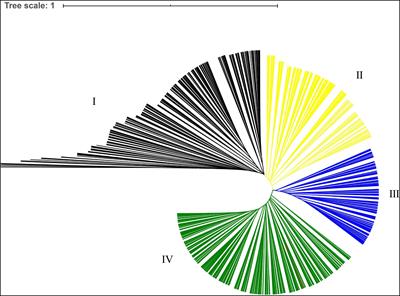 Genetic Diversity of a Natural Population of Akebia trifoliata (Thunb.) Koidz and Extraction of a Core Collection Using Simple Sequence Repeat Markers